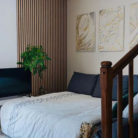 Beautiful Comfortable Paris Nearby T9 & M7